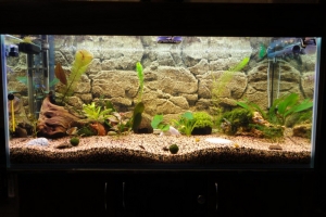 Аквариумы, 270L