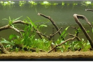 Аквариумы, 216l Aquarium