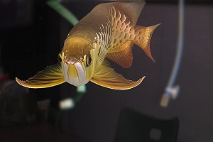 Азиатская Арована