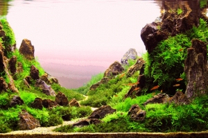 IAPLC2012, 