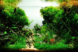 IAPLC2012, 