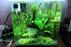 Нано Аквариумы, Dennerle Nano 20L Aquarium