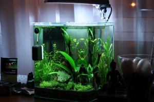 Нано Аквариумы, Dennerle Nano 20L Aquarium