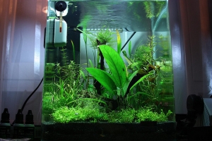 Нано Аквариумы, Dennerle Nano 20L Aquarium