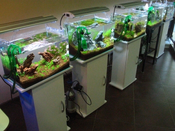 Изготовление и обслуживание аквариумов